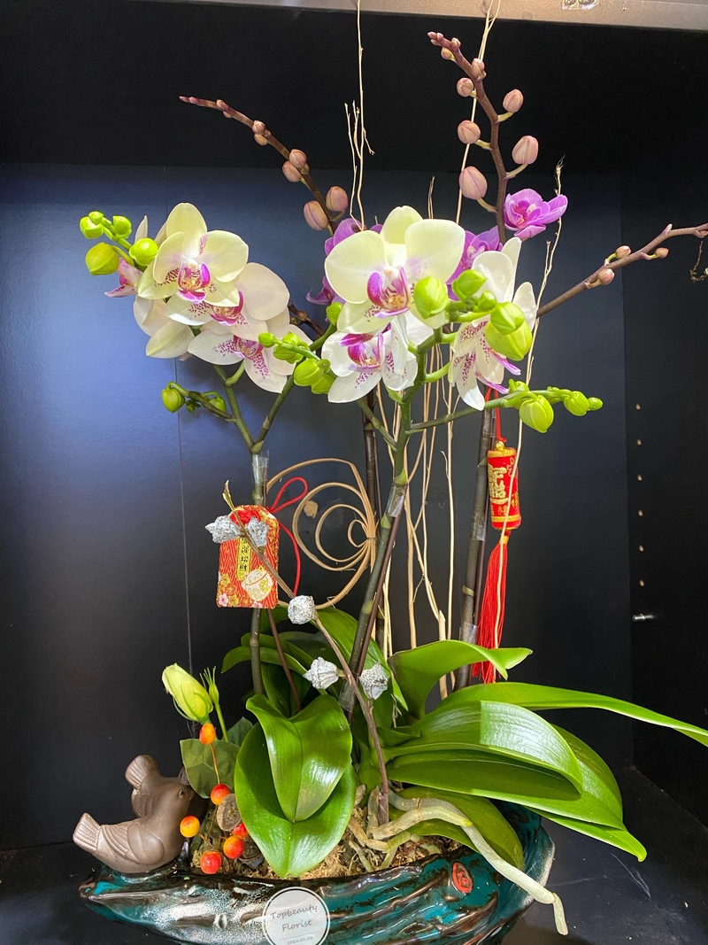 綠+粉中花-4菖