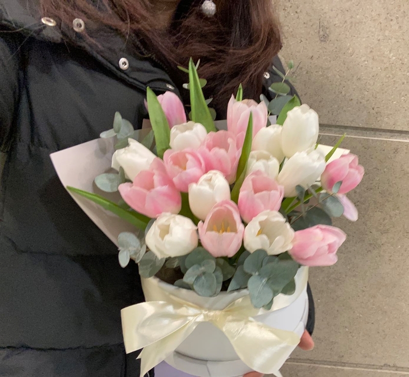 郁金香花盒(Tulips box)