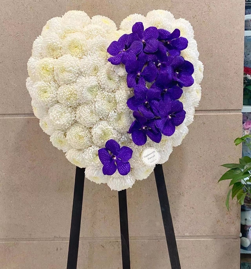 馬來西亞大波菊心型