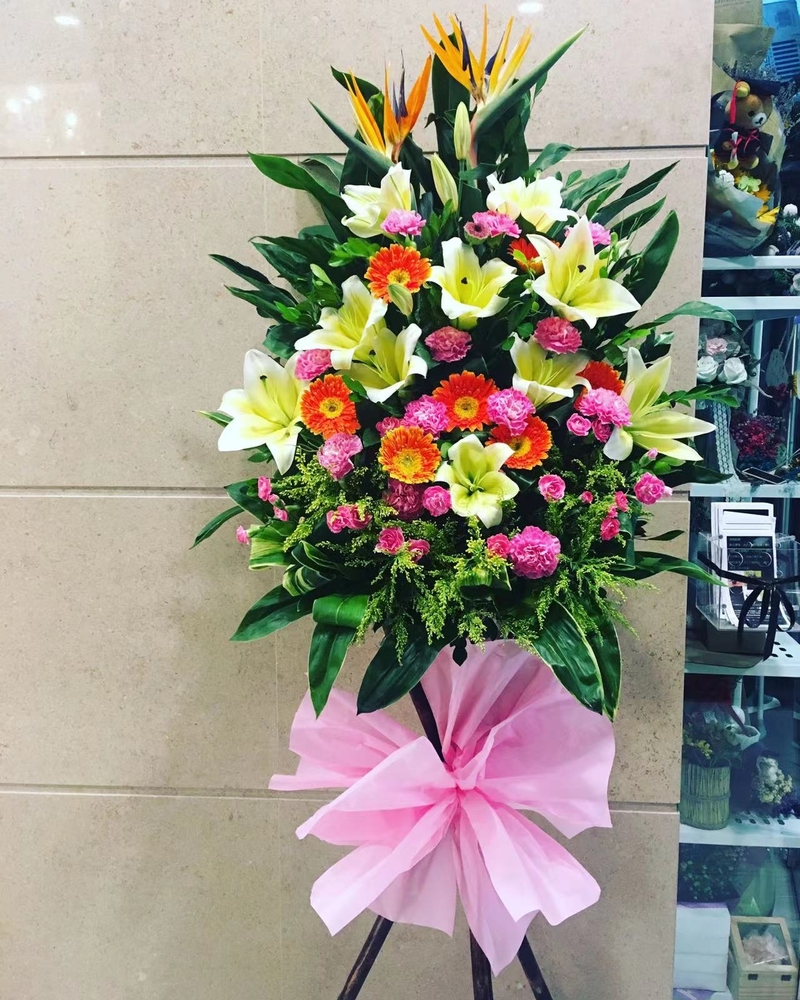 天堂鳥百合太陽菊