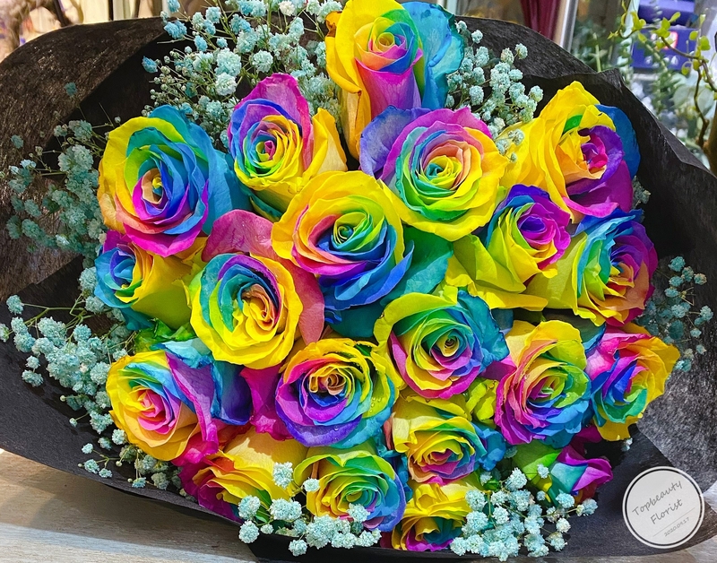 20枝彩虹玫瑰满天星花束( 20 Rainbow Roses & baby's breath Bouquet)