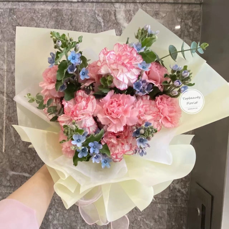 12枝雙色康乃馨蓝星花花束