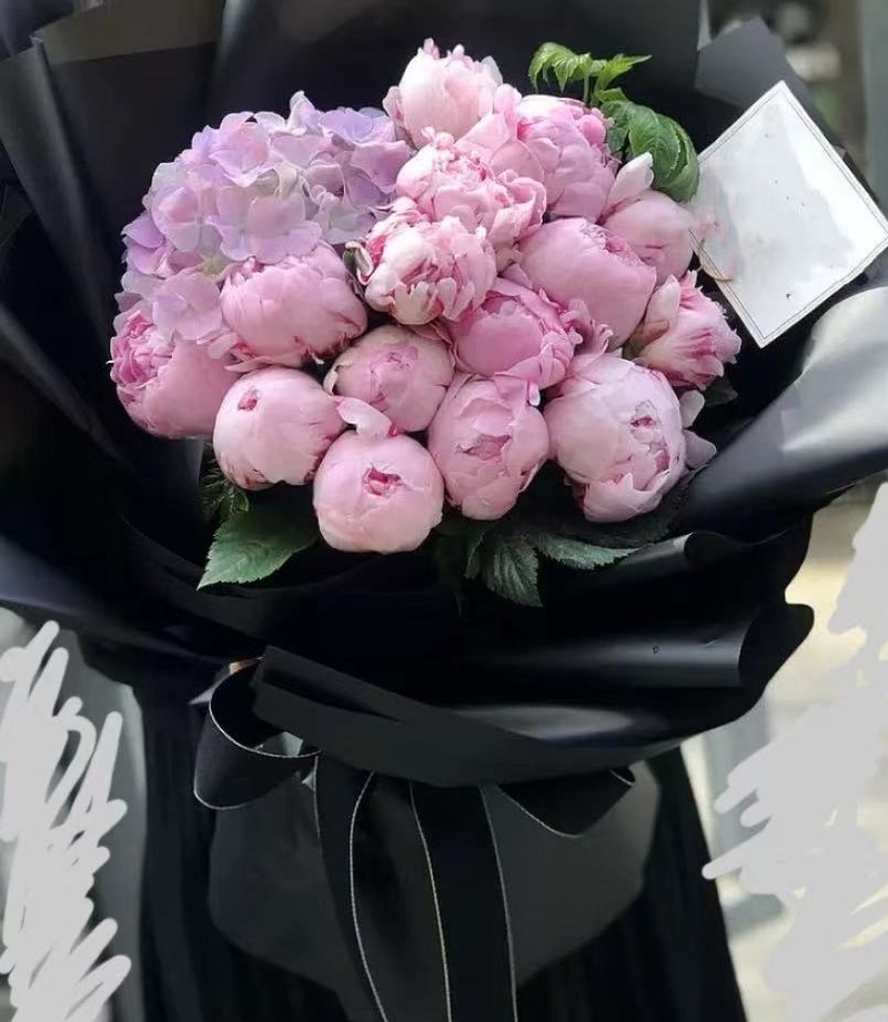 16枝牡丹綉球花束( 16 Peony hydrangeas Bouquet)
